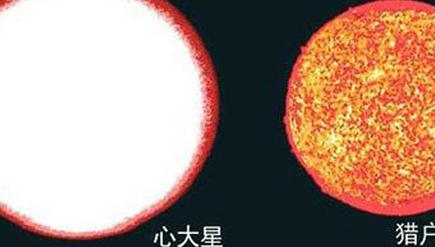 心大星究竟有多大？它的直径大约是太阳的800倍