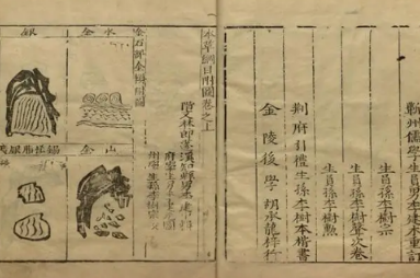 本草纲目·第三卷·百病主治·胎前具体内容是什么？