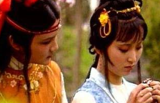 《红楼梦》林黛玉为何不劝宝玉走上科举之路？