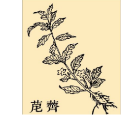 本草纲目·第八卷·草部·荠苨具体内容是什么？