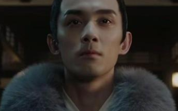 《月升沧海》凌不疑为什么不去告诉文帝凌益的真面目？