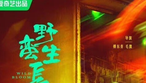 《野蛮生长》有原著小说吗 改编哪一部小说