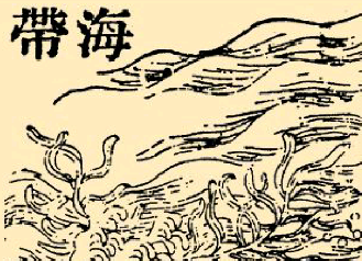本草纲目·第八卷·草部·海带具体内容是什么？