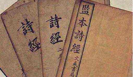 古代诗词鉴赏之《诗经·何彼穠矣》篇：何彼穠矣，唐棣之华