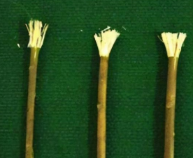 古人没有牙刷、牙膏，他们怎么保护自己的牙齿？