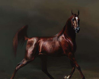 汉朝培育不出纯种汗血宝马，原因是什么？