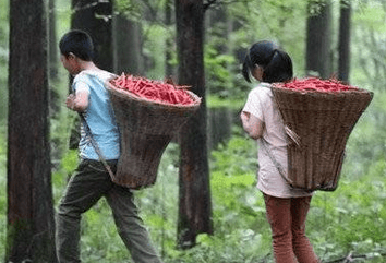  《红辣椒》讲的是什么故事？3·8国际妇女节上映