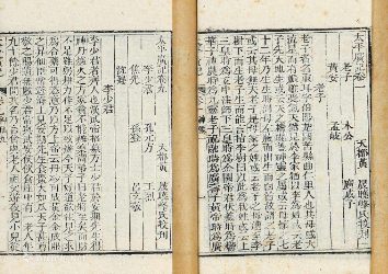 太平广记·卷七·神仙·王远如何理解？具体内容是什么？