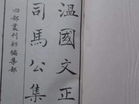 《温国文正公文集》是谁写的？内容是什么？