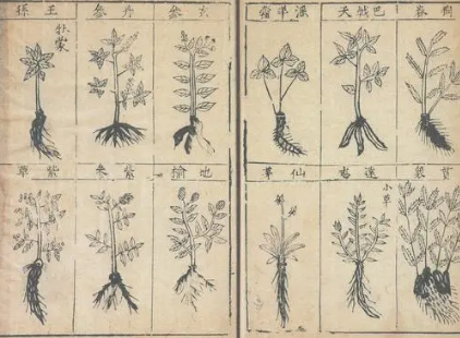本草纲目·第三卷·百病主治·反胃具体内容是什么？