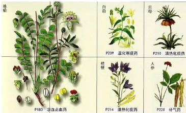 本草纲目·第三卷·百病主治·强中原文是什么内容？