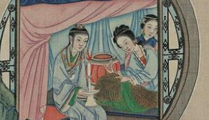 《红楼梦》晴雯来贾府前有着什么样的经历？