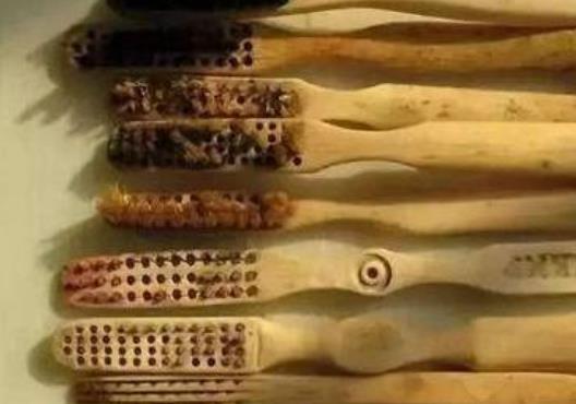 牙刷是谁发明的？揭秘古代牙刷的进化史