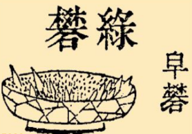 本草纲目·第七卷·金石部·绿矾原文是什么内容？