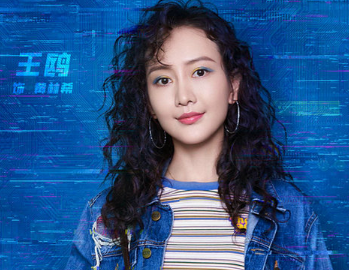 《纵横芯海》讲述了什么故事？演员阵容如何？