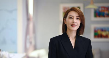 《完美伴侣》湖南卫视两集首播，由高圆圆、张鲁一担任主演