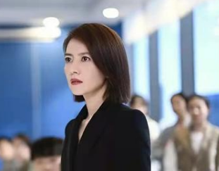 《完美伴侣》演员阵容怎么样？在湖南卫视开播