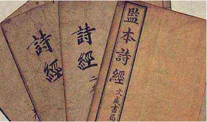 古代诗词鉴赏之《诗经·九罭》篇：九罭之鱼，鳟、鲂