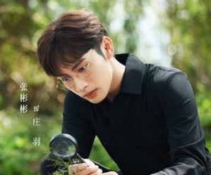 《两个人的小森林》一共有多少集数?张彬彬又迎来新剧