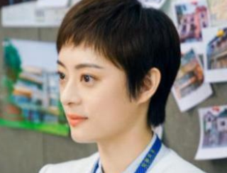 《英雄无悔》演员阵容怎么样？孙俪再演献礼单元剧