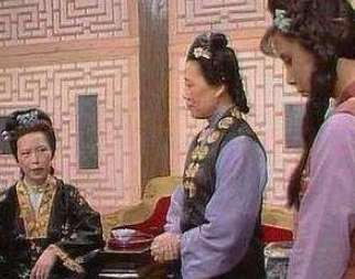 红楼梦王善保家的是什么人？她参与了贾府的哪些事情