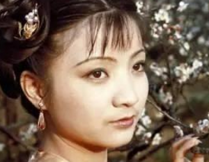红楼梦中何婆子为何会进怡红院干差？她与莺儿之间有何交集？