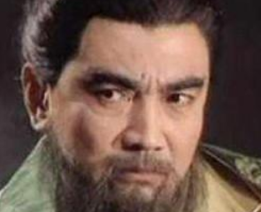诸葛诞是什么人？他反抗司马氏的原因是什么？