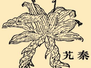 本草纲目·第八卷·草部·秦艽原文是什么内容？