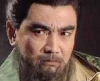 曹丕早刘备发动夷陵之战后，并没有出兵攻打蜀汉是为什么？