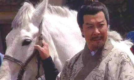 在三国演义中，除了赤兔马之外，提到的名马有哪些？