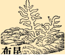 本草纲目·第八卷·草部·昆布原文是什么内容？