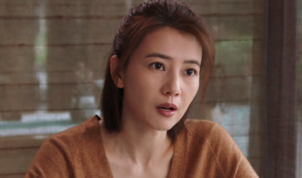《完美伴侣》正在热播中，真正扛起压力的当属女强人陈珊