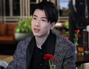 《如果从没爱过你》讲述了什么故事？