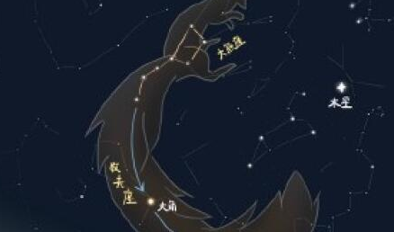 大角星属于哪个星座？根据科学家的探测，是牧夫座