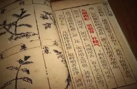 本草纲目·第三卷·百病主治·诸疮下具体内容是什么？