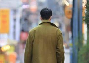 《莲花》讲的是什么故事？由李少红导演执导完成