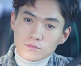 《腾科动物也凶猛》是什么剧情？李治廷、徐璐领衔主演