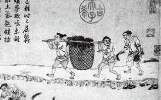 均田制是如何诞生的？起到了什么作用？
