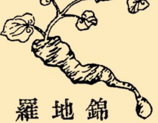 本草纲目·第八卷·草部·锦地罗具体内容是什么？