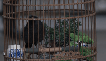 《罚罪》肖振邦的失误，间接让邱涛丢了性命