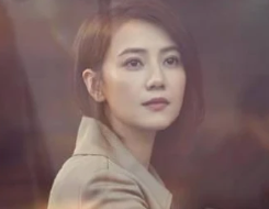 《完美伴侣》什么时候更新？一周更新几集