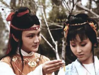 红楼梦中王夫人让黛玉远离宝玉，是贾母的意思吗？