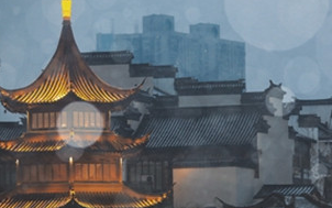 《蝶恋花·辛苦最怜天上月》表达了纳兰性德的什么感情？