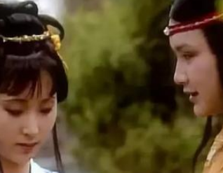 红楼梦黛玉说刘姥姥是母蝗虫到底是因为什么？