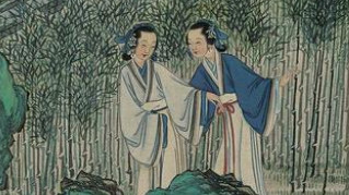 《红楼梦》富贵少爷调戏一个丫鬟，王夫人为何会歇斯底里？