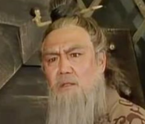 下辨之战蜀汉都派出了哪些大将？黄忠赵云为何没有出战
