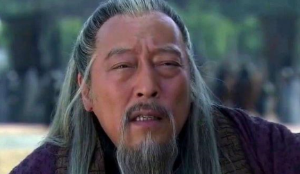 关于诸葛亮的死因，他的敌人司马懿曾做过什么总结？