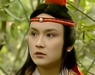 红楼梦中黛玉对妙玉是一种什么样的感情？