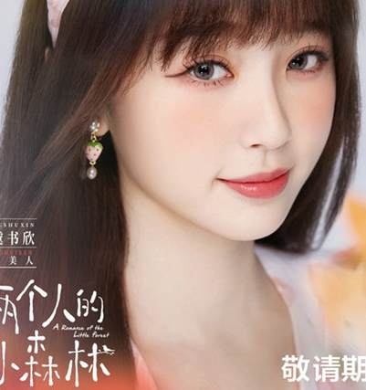 《两个人的小森林》什么时候播 在哪里可以看