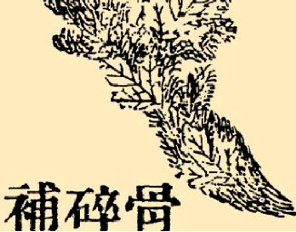本草纲目·第八卷·草部·骨碎补具体内容是什么？